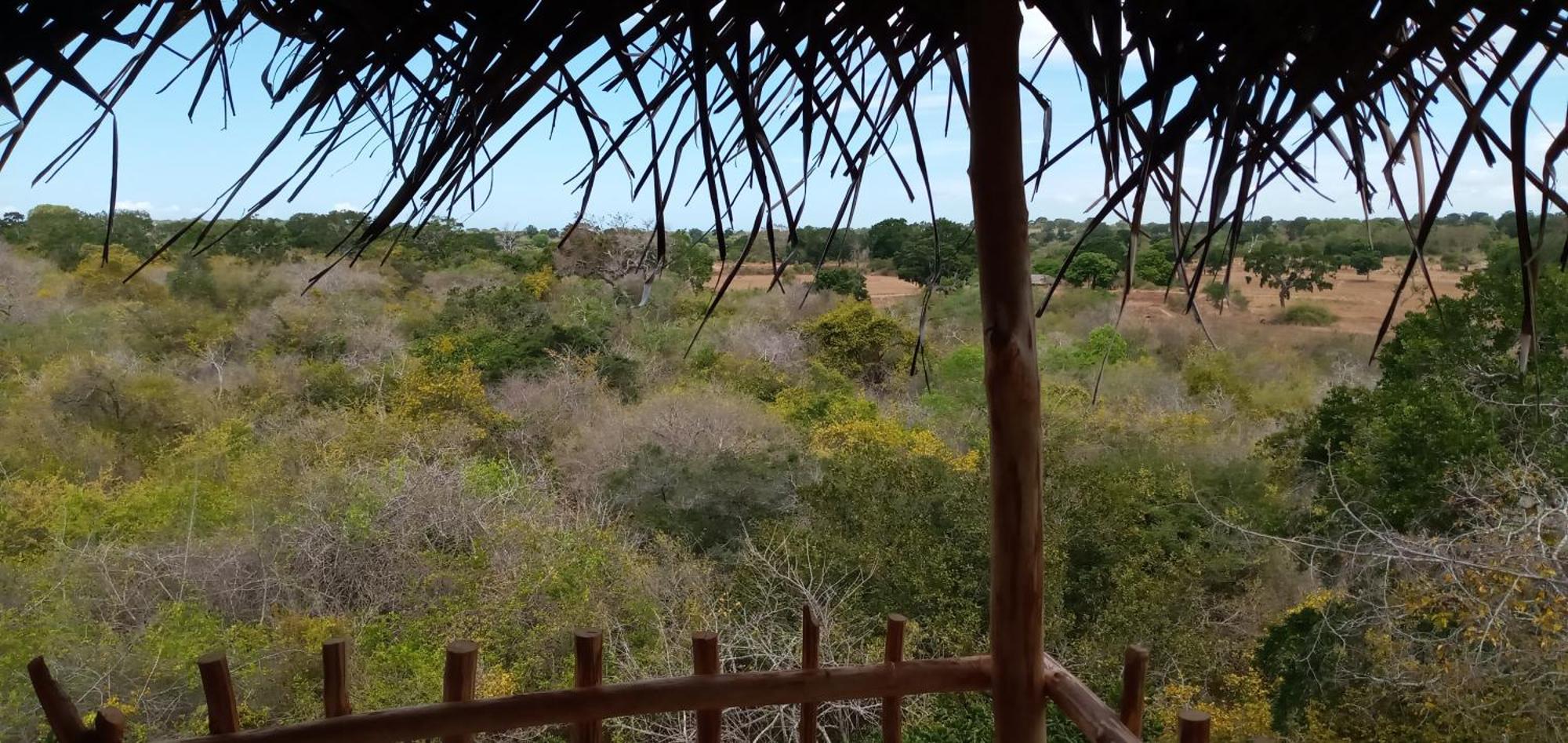 Mamba Yala Hotel Tissamaharama Buitenkant foto
