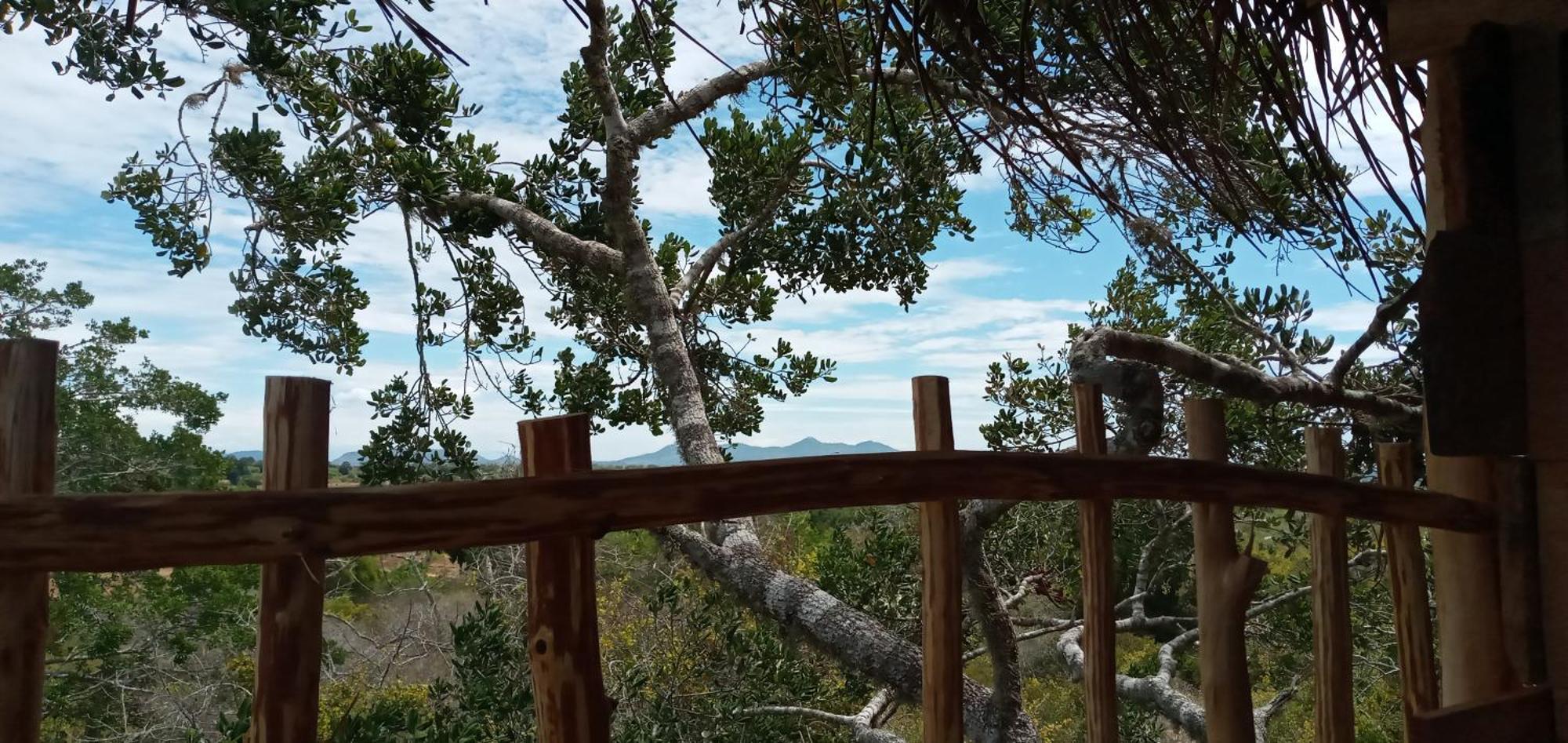 Mamba Yala Hotel Tissamaharama Buitenkant foto