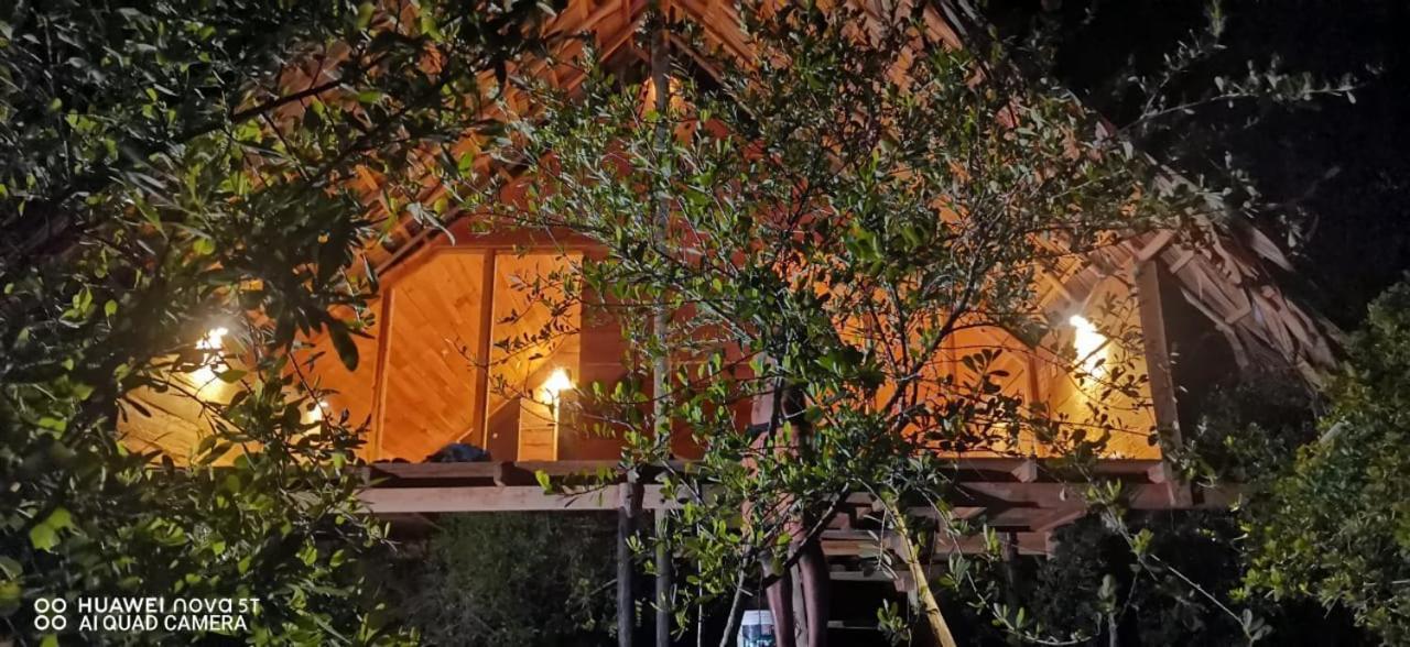 Mamba Yala Hotel Tissamaharama Buitenkant foto