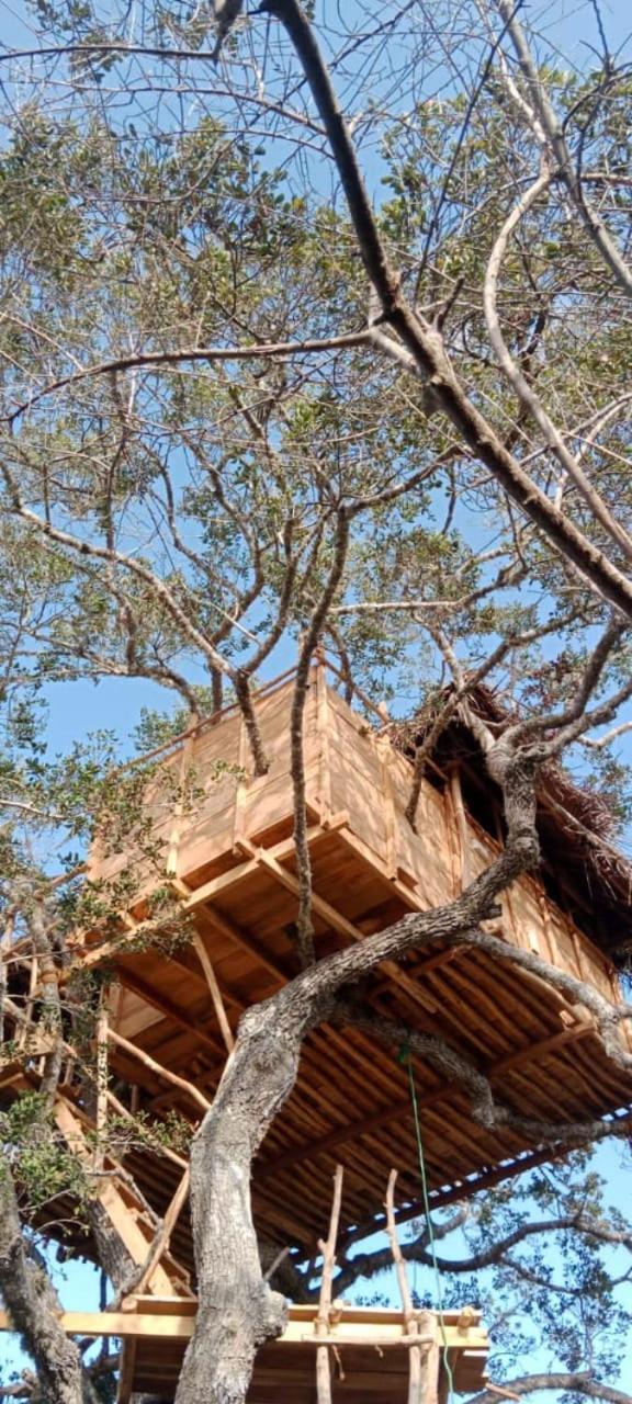 Mamba Yala Hotel Tissamaharama Buitenkant foto