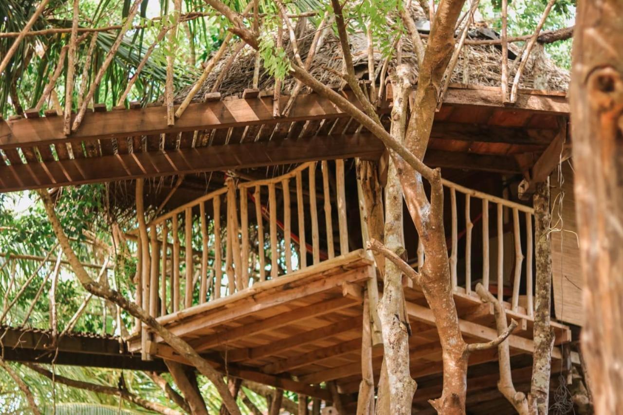 Mamba Yala Hotel Tissamaharama Buitenkant foto