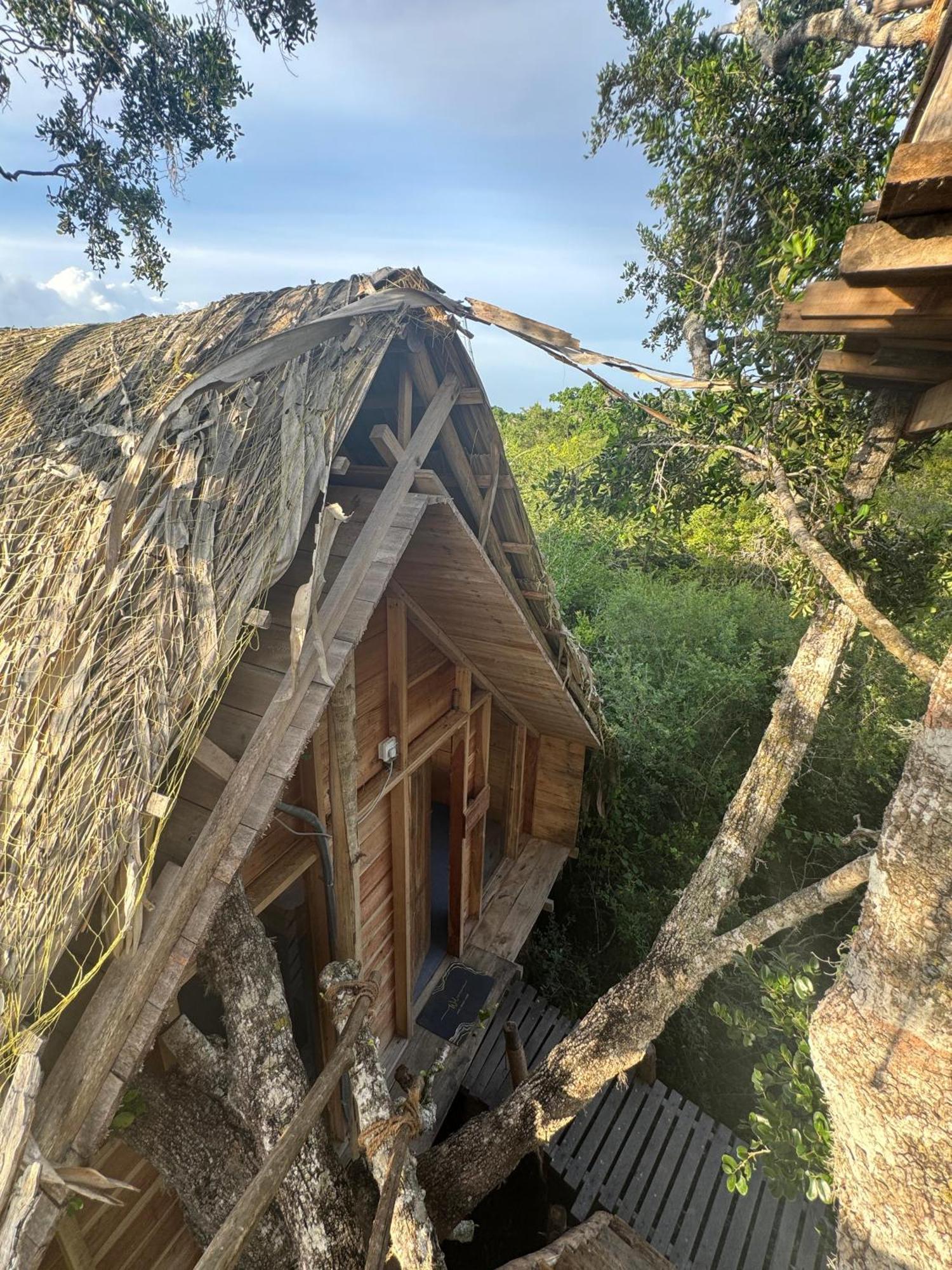 Mamba Yala Hotel Tissamaharama Buitenkant foto