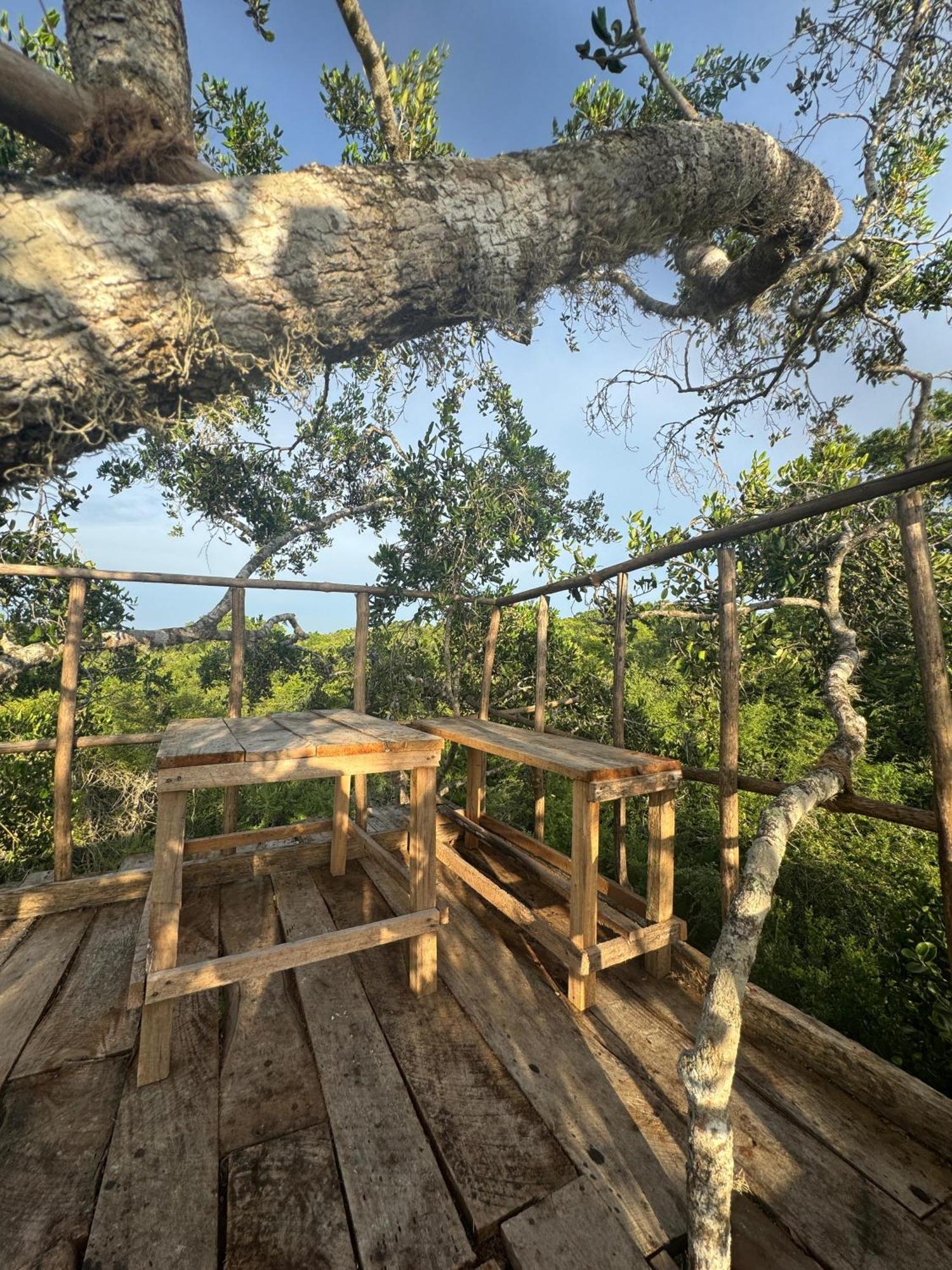 Mamba Yala Hotel Tissamaharama Buitenkant foto